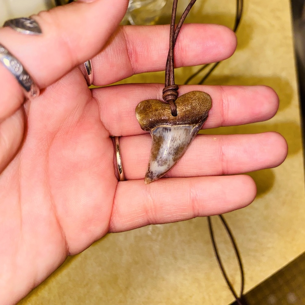 Beautiful rare color mako shark tooth necklace